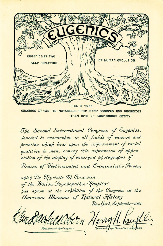 Es ist ein Plakat mit einer Illustration. Es ist ein Baumstamm mit Wurzeln und der Andeutung einer Baumkrone. Die Wurzeln des Baumes sind beschriftet mit verschiedenen Wissenschaften, wie zum Beispiel Biologie, Geschichte, Psychologie. Über der Baumkrone ist ein Banner auf dem »Eugenics« steht. Um den Baum herum steht in Englisch die Losung »Eugenics is the self direction of human evolution«. Es folgt die Beschreibung des Kongresses mit den Unterschriften der Organisatoren.
