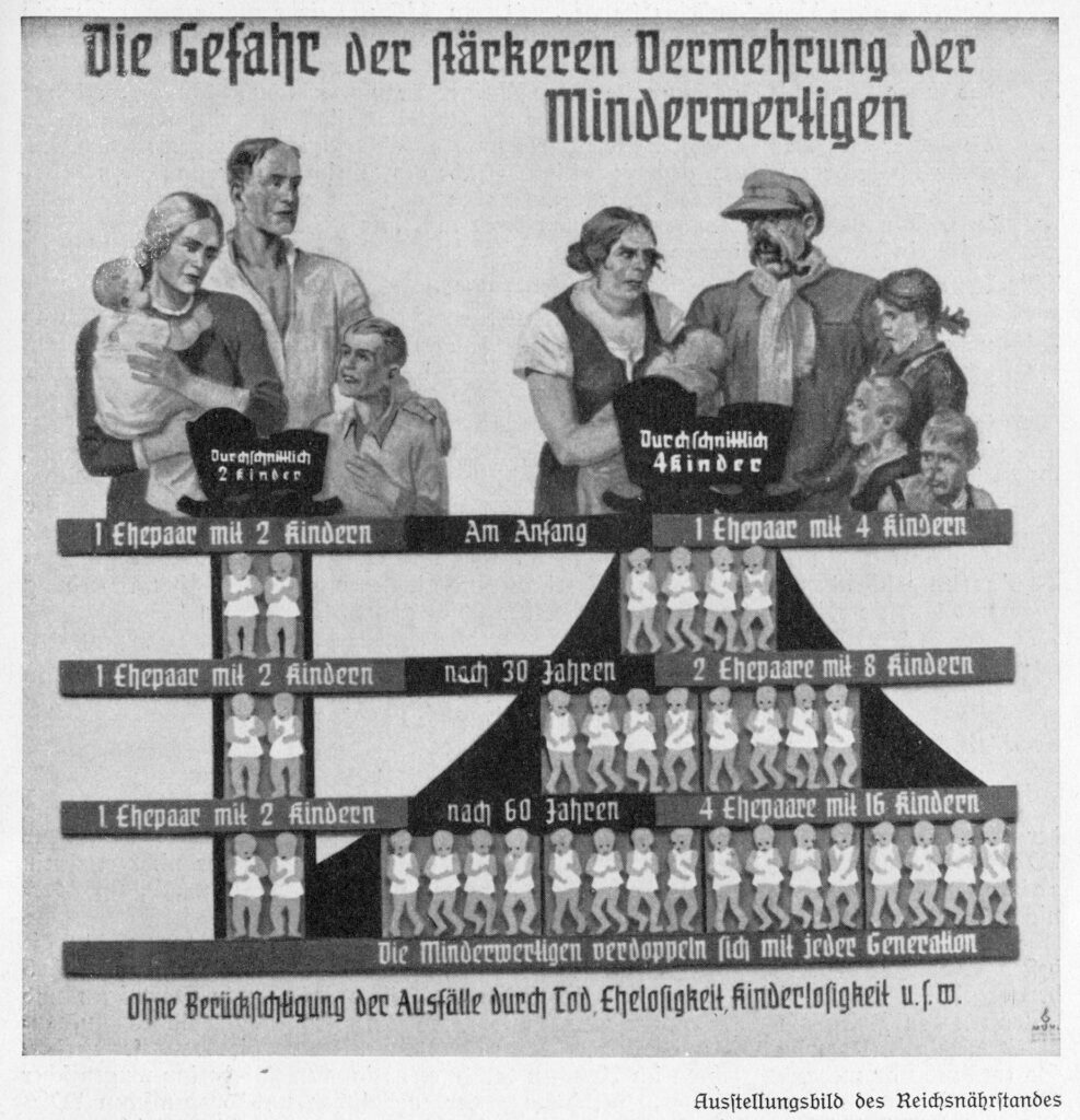 Es ist eine schwarz-weißes Plakat einer Zeichnung mit statistischem Anschein. Sie ist überschrieben mit »Die Gefahr der stärkeren Vermehrung der Minderwertigen«. Abgebildet sind zwei Familien. Links im Bild ist eine Familie bestehend aus Eltern mit zwei Kindern. Sie wirken gesund und kräftig, gutbürgerlich. Rechts im Bild ist eine zweite Familie abgebildet. Sie besteht aus Eltern mit vier Kindern. Diese Familie wirkt krank und ärmlich. Unter beiden Familien sind Stammbäume. Bei der linken Familie gibt es in jeder Generation durchgängig immer nur zwei Babys. Es steht geschrieben, jedes Ehepaar bekäme nur zwei Kinder. Es müssten vier Kinder gezeichnet sein, aber es sind nur zwei eingezeichnet. Die Kinderzahl bei der rechten Familie wird hingegen von Generation zu Generation proportional größer. Alle der angeblich erbkranken Familie zugehörigen Kinder sind mit krummen Beinen gezeichnet. Unter der Zeichnung steht: Ohne Berücksichtigung der Ausfälle durch Tod, Ehelosigkeit, Kinderlosigkeit und so weiter.