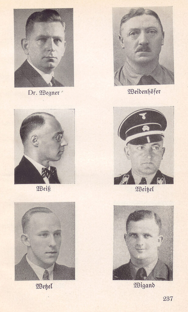 Es ist ein schwarz-weißes Fotoporträt des jungen Ernst Wegner. Er hat die dunklen Haare nach hinten gekämmt, trägt ein Hemd mit dunkler Krawatte und Jackett. Das Bild ist unscharf.