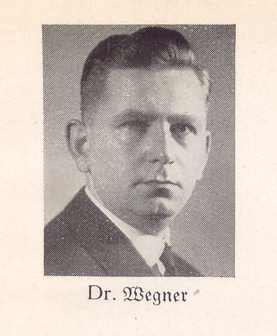 Es ist ein schwarz-weißes Fotoporträt des jungen Ernst Wegner. Er hat die dunklen Haare nach hinten gekämmt, trägt ein Hemd mit dunkler Krawatte und Jackett. Das Bild ist unscharf.