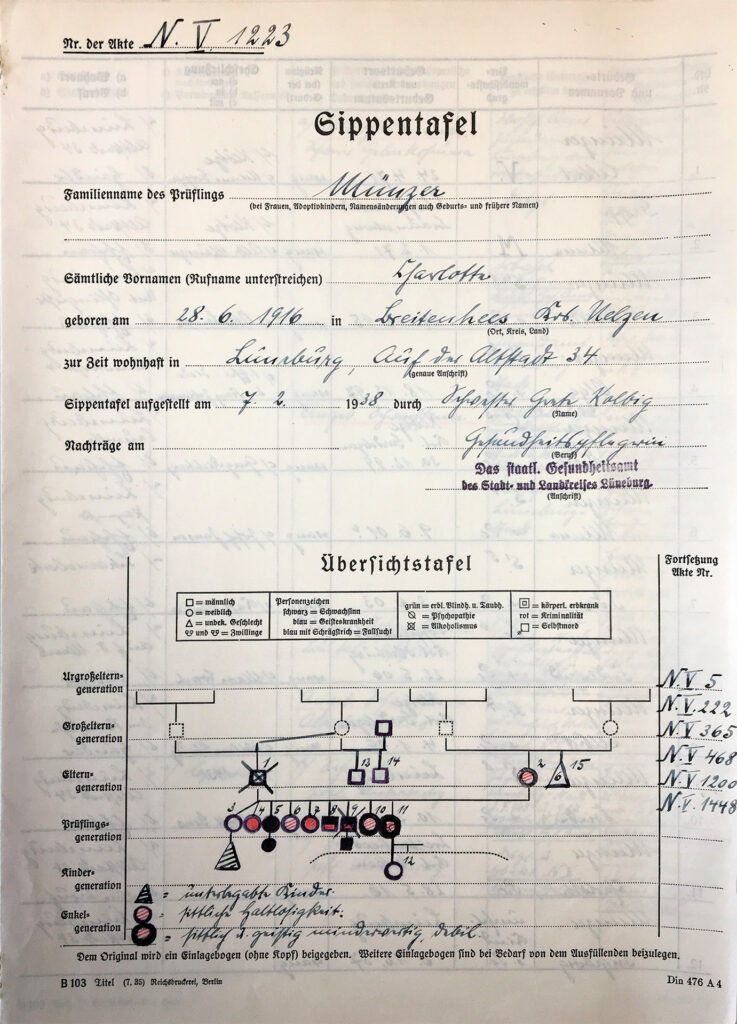 Das gedruckte Formular ist mit geschwungener Handschrift und Tinte ausgefüllt. Der Stammbaum von Charlotte Münzer ist akkurat mit der Hand eingezeichnet und einzelne Mitglieder der Familie sind verschiedenfarbig und mit verschiedenen Formen markiert. Jede Farbe und Form steht für eine andere Zuschreibung: etwa Trinker, geschieden, kriminell und so weiter.