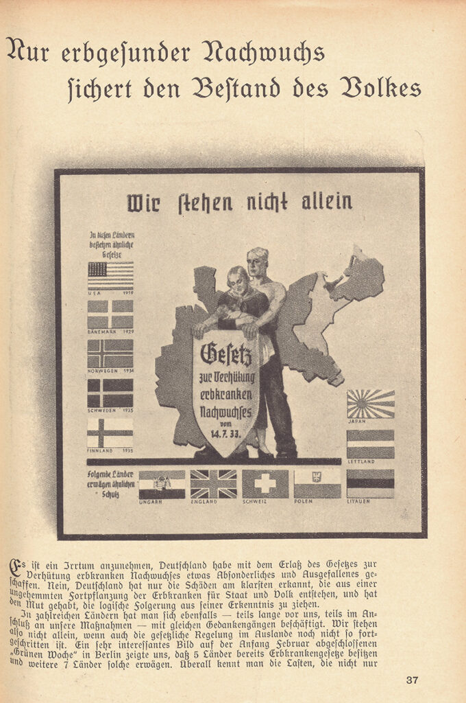 Es ist ein gezeichnetes, schwarz-weißes Plakat. In der Mitte stehen ein Mann und eine Frau. Die Frau blickt auf ein Baby hinab, das sie in ihren Armen hält. Der Mann steht hinter den beiden. Sein Oberkörper ist unbekleidet und sieht kraftvoll aus. Seine Arme sind rechts und links neben der Frau nach vorne ausgestreckt. Er hält einen großen, etwa hüfthohen Schutzschild fest. Auf dem Schild steht: »Gesetz zur Verhütung erbkranken Nachwuchses vom 14.7.33«. Hinter den drei Personen ist das Deutsche Reich in seinen damaligen Grenzen zu sehen. Links neben ihnen sind die Nationalflaggen der USA, Dänemarks, Norwegens, Schwedens und Finnlands mit verschiedenen Jahreszahlen darunter. Darüber steht: »In diesen Ländern bestehen ähnliche Gesetze«. Unter den Personen sind die Nationalflaggen Ungarns, Englands, der Schweiz, Polens, Litauens, Lettlands und Japans zu sehen. Neben ihnen steht: »Folgende Länder erwägen ähnlichen Schutz.« Ganz oben auf dem Plakat steht in großer Schrift: »Wir stehen nicht allein«.