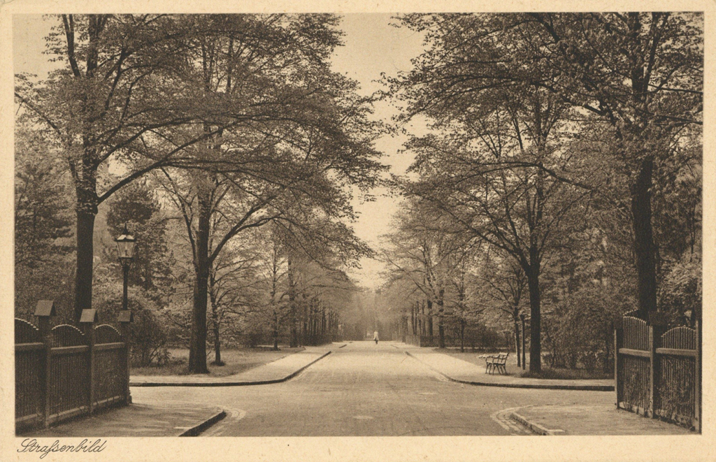 Es ist ein schwarz-weißes Foto. Zu sehen ist eine breite Kreuzung zweier Straßen. Die Straßen sind gesäumt von hohen Bäumen. Rechts an der Kreuzung stehen eine Sitzbank und eine historische Straßenlaterne.
