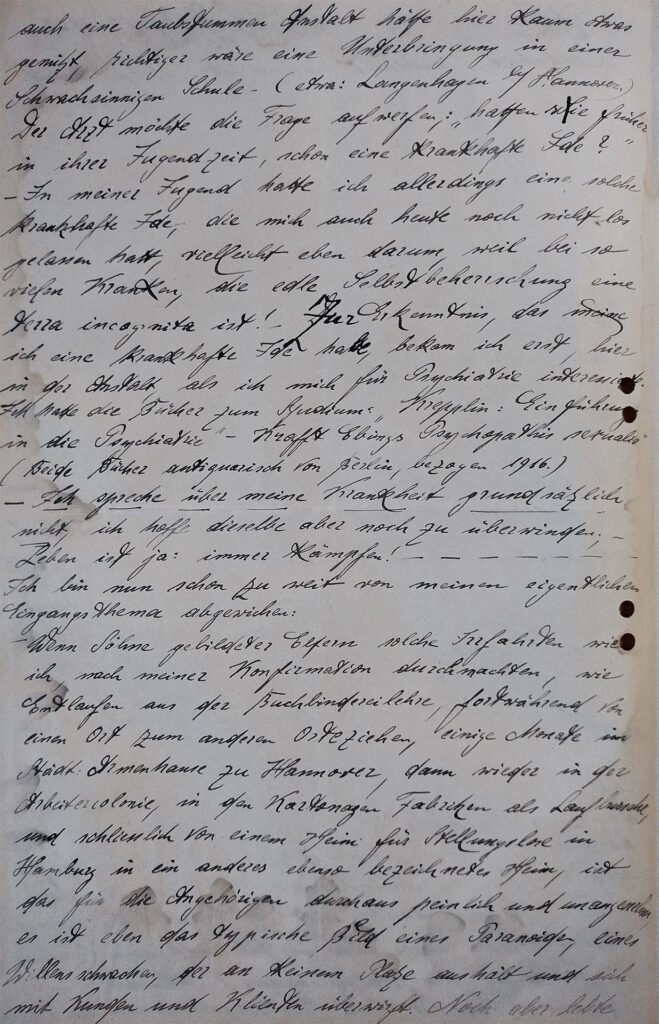 Die Denkschrift ist eng mit schwarzem dünnem Stift geschrieben. Seine Handschrift ist sehr gleichmäßig und nach rechts geneigt. Das Papier ist mittig gefaltet und gelocht.