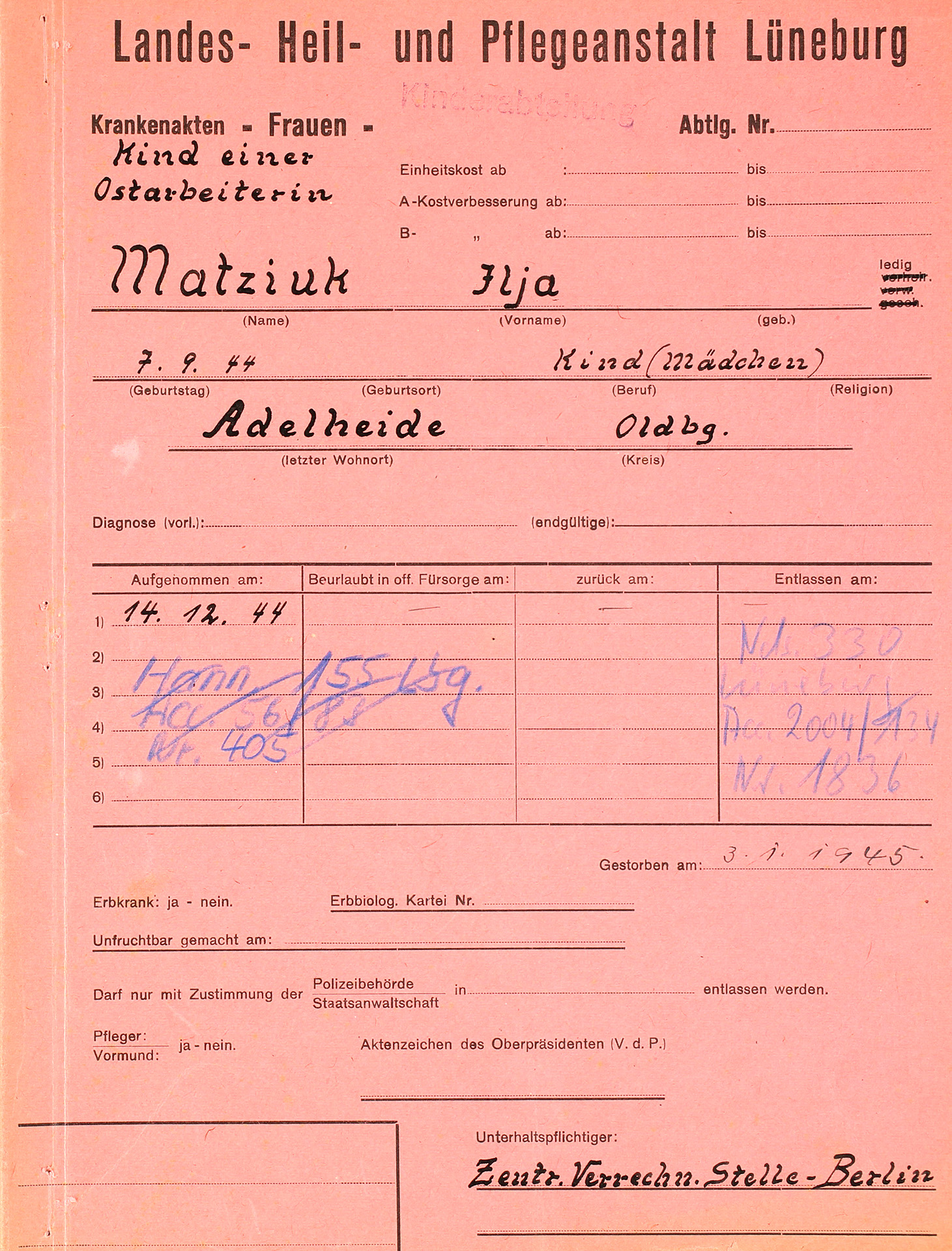 Der Aktendeckel ist aus roter Pappe. Die vorgedruckten Kategorien sind handschriftlich ausgefüllt.