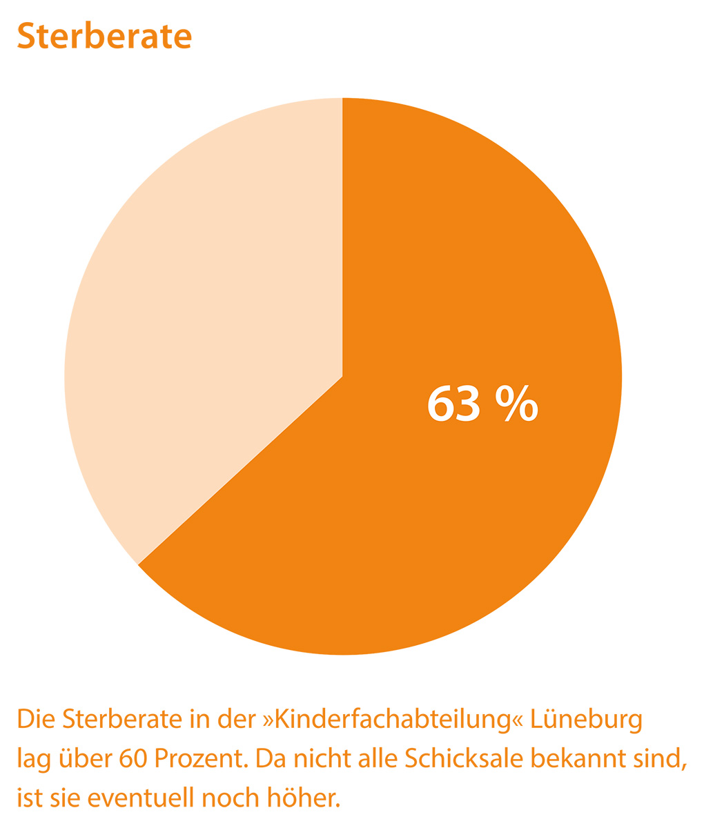 Es ist ein Kreis-Diagramm. Es zeigt: Über 60 Prozent der Kinder sind gestorben.