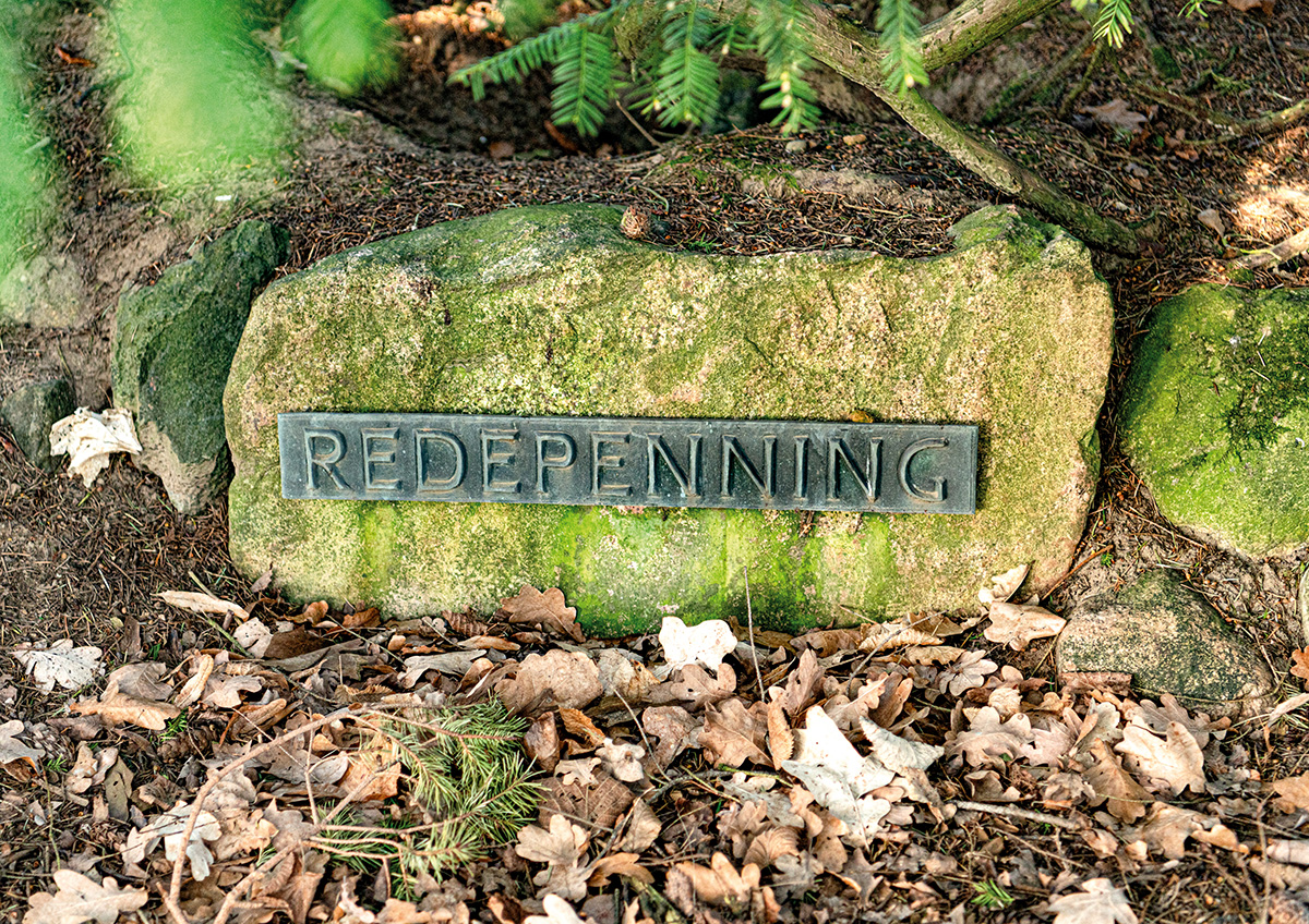 Es ist ein Farbfoto von einem Grabstein. Es ist ein längsovaler Naturstein. In Lettern steht der Name REDEPENNING auf dem Grabstein. Vor ihm liegt Laub. Er ist verwittert und an einzelnen Stellen bemoost. Er ist umgeben von Büschen und Bäumen. Das Grab ist in einem ungepflegten Zustand.