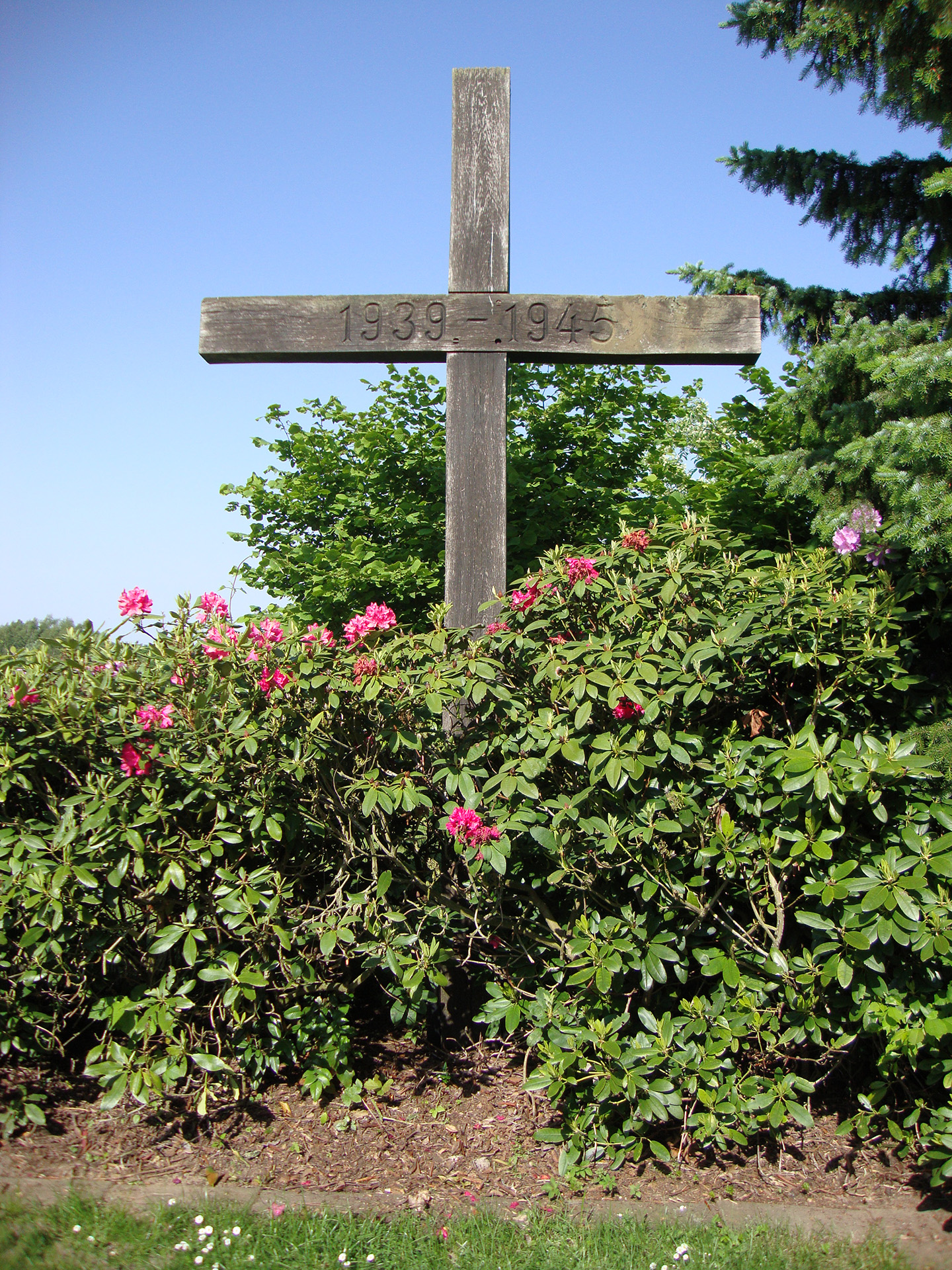 Es ist ein Farbfoto des Hochkreuzes. Vor dem Kreuz stehen niedrige Sträucher. Dahinter und daneben etwas höhere Gewächse.