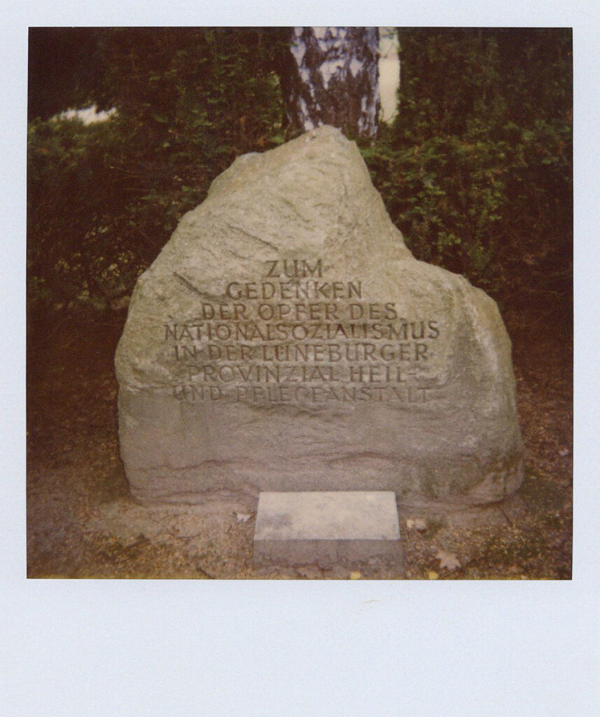 Es ist ein Farbfoto des Gedenksteins. Hinter dem Stein ist ein Gebüsch mit Birkenstamm sichtbar.