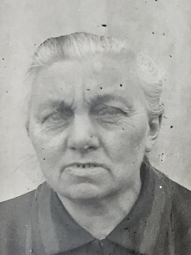 Es ist ein schwarz-weißes Porträtfoto. Wilhelmine Dreyer trägt eine dunkle Bluse. Ihr Haar ist locker nach hinten frisiert. Sie guckt ernst in die Kamera.